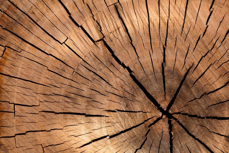 Tree Stump Centerpiece